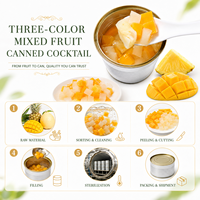 Mixed Fruit Cocktail Yellow Peach Pear Pineapple Canned Fruit Wholesale Factory Direct Custom Label Supplier