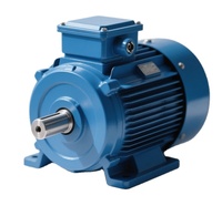 Moteur WEG 7,5 kW 4P 400/690V B35T 132M IE3 11 kW Moteur triphasé WEG W21 IP55 pour moulin à farine