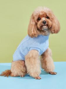 Tissu tricoté de Noël décontracté pour chiens chats pull de couleur unie pour animaux de compagnie mignon <span class=keywords><strong>à</strong></span> deux pattes <span class=keywords><strong>pâte</strong></span> frite torsadée Texture pull Style - Product Image 6