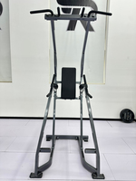 ROSEN Appareil Commercial de Musculation Abdominale pour la Renforcement Musculaire et l'Entraînement de Base – Rack de Crunch Abdominal Debout