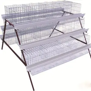 Layer chicken cage automated a type/layer cages egg chicken poultry farm 200 birds/design layer chicken cages