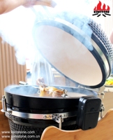 Accessoires pour barbecue Kamado pour poulet, kit de rôtissoire moderne pour camping en plein air