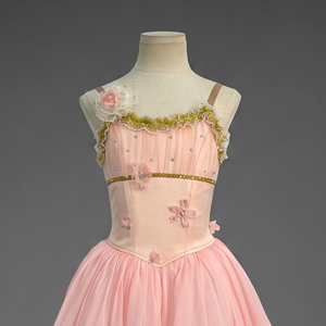 Tutu de ballet vintage romantique rose fait main, robe longue de spectacle scintillante, costume de danse de scène pour Le Réveil de Flore - Product Image 2