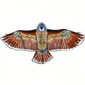 Chất Lượng Cao Eagle Diều Bay Với Giá Tốt Eagle Diều Lớn Bay Chim Diều Cho Trẻ Em Ngoài Trời Đồ Chơi Nhà Máy Giá - Product Image 2