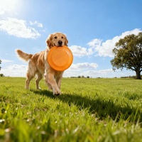 Leichtgewichtige, Ungiftige Hundeleuchte mit Grifflöchern, Kau-Spielzeug für Haustiere, Maßgefertigte Hundespielzeuge für Apportier-Spiele im Garten und Kleinen Raum
