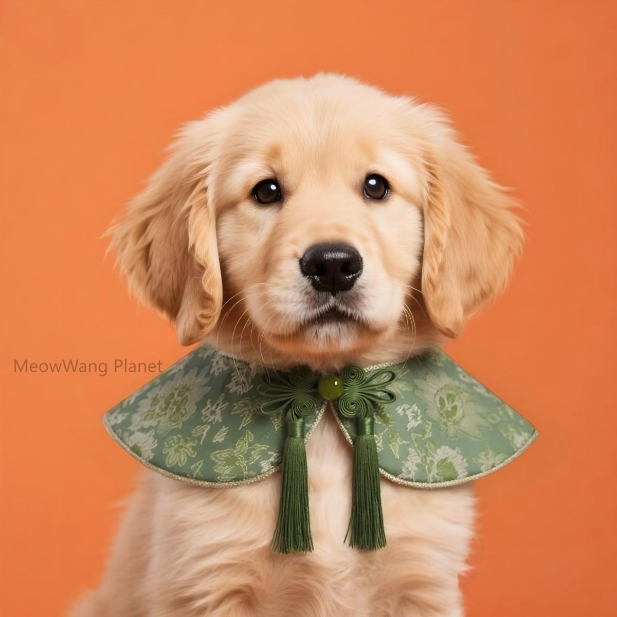 GlamPaw New Year Pet Shawl Scarf