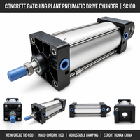 Cylindre pneumatique d'entraînement pour pompe à béton montée sur camion, pièces détachées, cylindre pneumatique pour machine de dosage pour centrale à béton, vente en gros