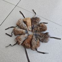 Jouet pour chat en poils de lapin naturels simulés, souris interactive pour chaton, jouet à mâcher pour l'auto-entretenue