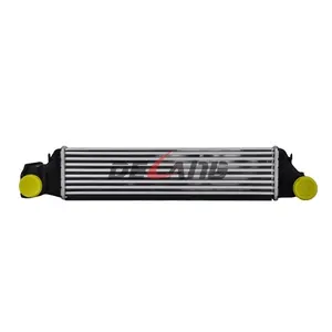 Intercooler per turbo fabbrica per BMW 3 E 46 OE 17512246795 (DL-E054)