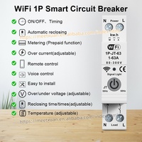 Disjoncteur intelligent Wi-Fi TUYA 1P 63A avec mesure, contrôle à distance mobile et minuterie