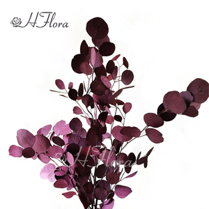 HFloral Wholesale Custom Natural Decorative Dried Bouquet <strong>Press</strong> the Leaves Preserved <strong>Flower</strong> Apple Leaf Eucalyptus - Product Image 1