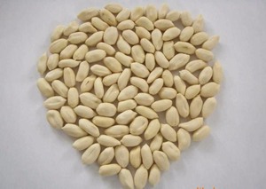 Frische neue Ernte Bio trocken geröstete Erdnüsse Blanchierte Erdnüsse Shell Canned Box Verpackung für Snacks Rohe Erdnuss Erdnuss butter - Product Image 6