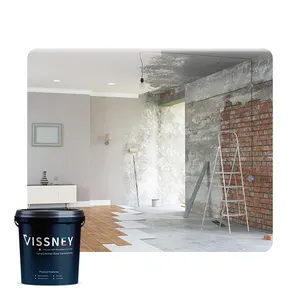 Vissney-imprimación de sellado resistente a los álcali, a base de agua, paredes exteriores para decoración del hogar/ingeniería