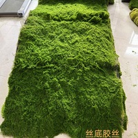 Gazon artificiel de luxe en plastique imitation mousse pour aménagement intérieur, écologique, verni anti-UV, installation personnalisée pour fenêtre