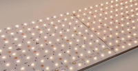 Plaque LED CCT Blanc Réglable 2700-6500K DC24V 400 LED/panneau pour Panneau Publicitaire Commercial, Boîtier Publicitaire, Plafond, Table, Éclairage de Panneau
