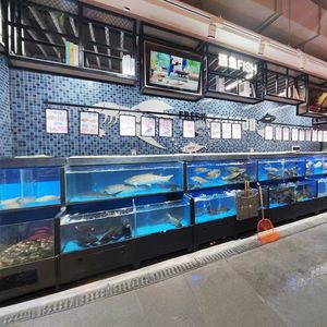Meerlaags vierkant glazen milieuvriendelijk gekoeld viskom |   100L-500L Transparant Energiebesparend Aquarium - Product Image 4