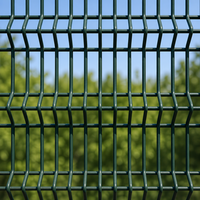 OEM Fabrieksdirect Roestbestendig Solide Duurzaam Eenvoudig te Monteren Gecoate Gelaste Gaas 3D Hekwerk voor de Tuin