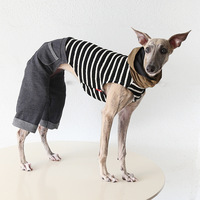 Manteau d'été moderne et minimaliste en jean 3D à jambes larges pour chien, léger et tendance, pour lévrier italien et whippet