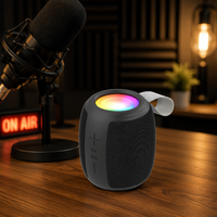 Altavoz Inalámbrico RGB para Exteriores 2026, Pantalla Xinvo, Control por Voz, Luz LED Intermitente para Computadora y Teléfono Móvil