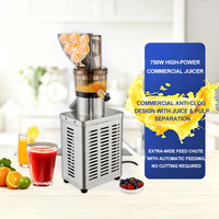 Commerciële Hot Sale Multifunctionele Sapcentrifuge, Push-Free Fruit- en Groentesapcentrifuge