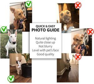 Paw <span class=keywords><strong>Art</strong></span> Love- Custom Pet Portrait stile rinascimentale su tela - Product Image 6