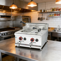 En stock: Freidora de gas de sobremesa con tanque doble de 14L+14L para patatas fritas, costillas de cerdo y pollo.