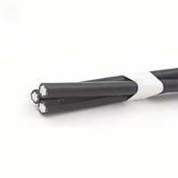 Cable Triplex 2 Neutro, Conductor de Aluminio 2AWG, Forrado Trenzado ACSR, Baja Tensión, Aislamiento XLPE/PVC, Uso Industrial y para Computadoras