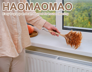 AC9 Plumeau teinté sur mesure 60 cm, respectueux de l'environnement, pour dépoussiérage général, vente en gros - Product Image 2