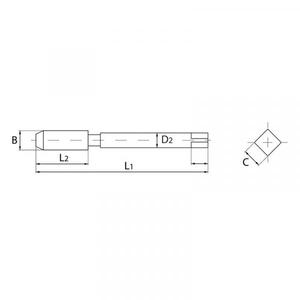 FERVI - M001/04V Tarauds machine cannelure droite avec spirale pointue avec tige renforcée vapeur pour trous traversants DIN 371/B - Product Image 2