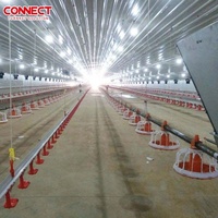 Système d'élevage automatique de poulets de chair en gros, équipement d'élevage au sol pour fermes avicoles commerciales