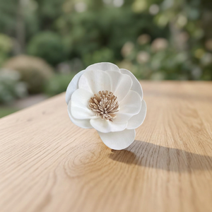 Eco-Friendly White 8 cm Sola Wood <b>Reed</b> <b>Diffuser</b> Inspired Thailand Home Decorative Flowers Plants Indoor Weddings Gifts - Product Image 3