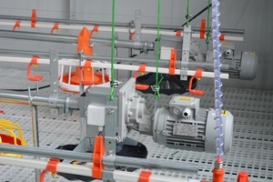 100000 Gia Cầm Hoàn Chỉnh Lớn Gà Thịt Gà Nhà Máy Tự Động Cho Gà Ăn Uống Thiết Bị Lớn Trang Trại Hệ Thống Đường Dây - Product Image 5