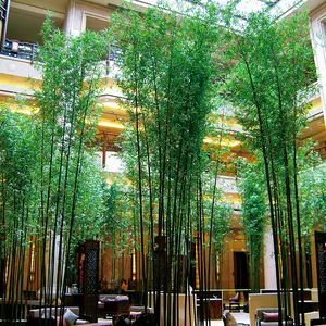Pianta di bambù artificiale all'ingrosso per la decorazione del paesaggio commerciale prezzo di fabbrica dell'albero all'aperto di bambù artificiale personalizzato