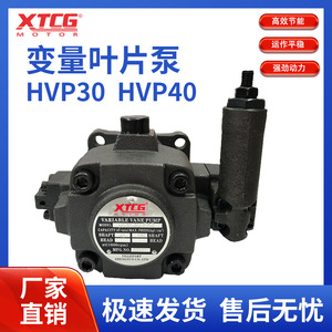 Pompe à palettes variables HVP-30-FA3 14MPA pour système hydraulique, corps en fonte, installation filetée, arbre vertical - Product Image 5