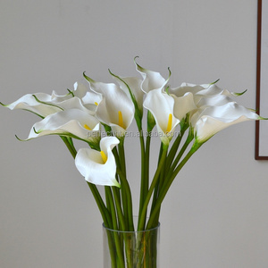 Fleur artificielle <span class=keywords><strong>de</strong></span> lys calla à tige unique, toucher réel, lys <span class=keywords><strong>arum</strong></span> <span class=keywords><strong>blanc</strong></span>, fleur artificielle pour <span class=keywords><strong>bouquet</strong></span> <span class=keywords><strong>de</strong></span> mariage, décoration <span class=keywords><strong>de</strong></span> la maison - Product Image 1