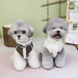 Moda Otoño Invierno <span class=keywords><strong>ropa</strong></span> <span class=keywords><strong>para</strong></span> <span class=keywords><strong>perros</strong></span> estilo callejero abrigo de algodón <span class=keywords><strong>para</strong></span> gatos de peluche Bichon Yorkie maltés urbano - Product Image 2