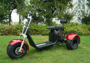 Novo Design 2026 <span class=keywords><strong>Golf</strong></span> CE Novo Modelo Citycoco <span class=keywords><strong>Scooter</strong></span> Elétrico de 3 Rodas Citycoco 2000w com Pneu Largo e Assento - Product Image 3