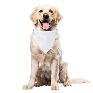 طقم تسخير الحيوانات الأليفة ، رموش وضغط حراري ، وشاح باندانا للكلاب الفارغة - Product Image 1