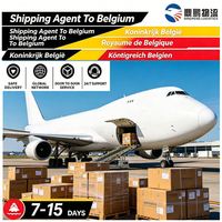 Services d'expédition aérienne entre entrepôts, porte-à-porte, importateur vers l'aéroport de Charleroi-Sud, Bruxelles, Belgique, logistique de conteneurs