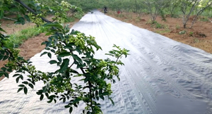 עשב מחצלת שטח סיטונאי 100% hdpe גן פרח עמיד למים בד שמש נטו עיבוד חקלאי שירות כולל - Product Image 3