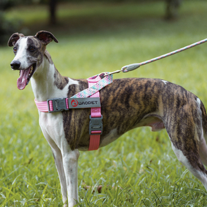 New Trend Dog <strong>Leash</strong> No <strong>Pull</strong> Reflective Durable Custom Nylon Rope Color Pet <strong>Leashes</strong> for Training Walking Small Medium Large Dogs - Product Image 6
