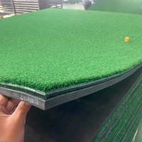 Tapis de golf 3D avec insert remplaçable, couche à ressorts 3D, gazon en nylon, base en EVA, protection des poignets, simulateur de practice