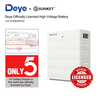 Batterie Lithium-Ion de Stock Allemand pour Stockage d'Énergie Solaire Domiciliaire 15kwh 20kwh 30kw 48v 100ah Lifepo4 51.2v 200ah