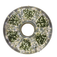 Ligne verte transfrontalière LED fil de cuivre arbre de Noël chaîne télécommande pétard pour fleur extérieure plante verte vigne