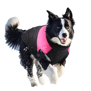 Sonbahar kış sıcak köpek giysileri <span class=keywords><strong>Amazon</strong></span> pamuk Pet ceket rüzgar geçirmez özelliği için kalınlaşmış katı desen klasik tarzı yeni - Product Image 3