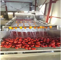 Automatische Fruitgroenten Tamato Wassen Reinigings-En Sorteermachine Kleine Verwerkingsfabriek Tomatenpuree Productielijn