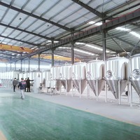 Fournisseur chinois de bière TEKBREW 1000L Unitanks isobares en acier inoxydable 1000L à vendre