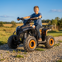 Quad Tao Motor 2027, nouveau modèle automatique avec transmission par chaîne inversée, roues de 7 pouces, certifié CE EPA, 110cc, pour enfants