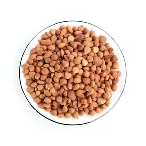 La Mandorla Riferisce alle Noci e alle Frutta Secca che Consumiamo. Sono ad Alta Secchezza e Contengono Abbondanti Oli. - Product Image 1