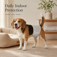 Couches jetables super absorbantes pour chiens mâles, bandes abdominales, surface respirante, dos imperméable, marque privée OEM